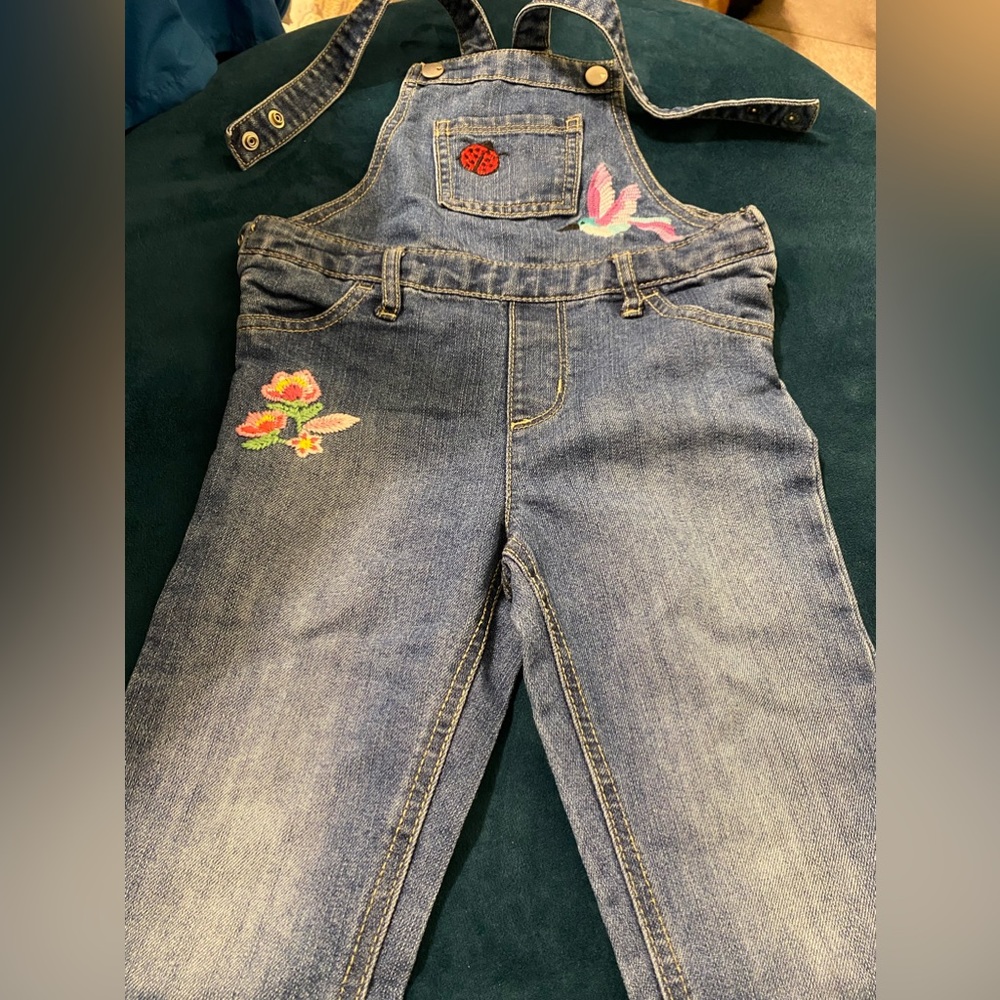 The Children’s Place Girls Embroidered Denim Jean Overalls